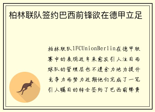 柏林联队签约巴西前锋欲在德甲立足
